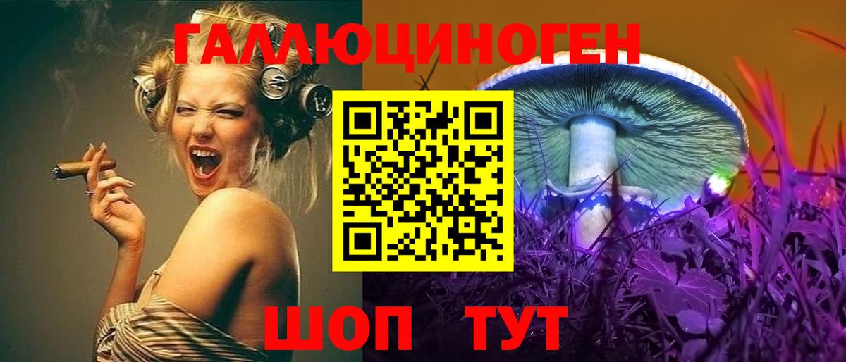где найти наркотики  Галлюциногенные грибы GOLDEN TEACHER  Вход с VPN  Саранск 
